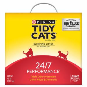 Top 5 Cat Litter That All Persian Cats Will Love